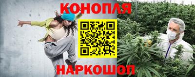 соль ск Славгород