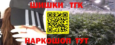 соль ск Славгород