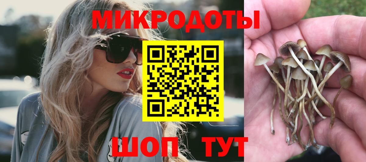 Омск  Галлюциногенные грибы GOLDEN TEACHER  Вход с VPN  Галлюциногенные грибы Psilocybe 